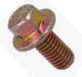 Torque Converter Bolt