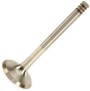 Exhaust Valve