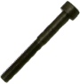 Cam Bearing Cap Bolt