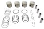 Piston and Ring Set
