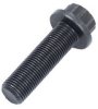 Crankshaft Bolt