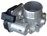 Fuel Injection Throttle Body