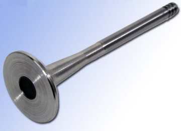 Exhaust Valve