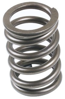 Valve Spring