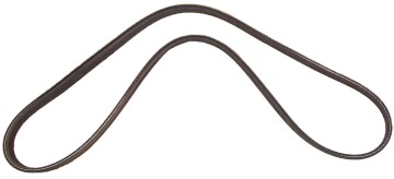 Serpentine Belt, w/o A/C