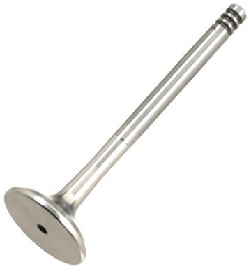 Exhaust Valve