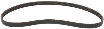 Serpentine Belt