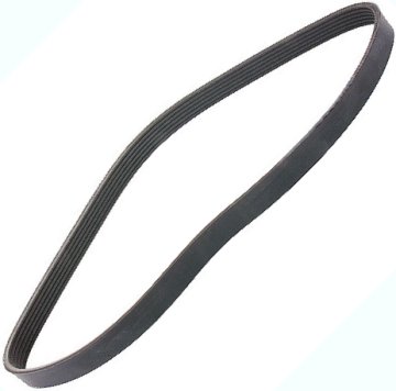 Serpentine Belt 1.9 TDI w/o A/C