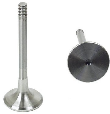 Exhaust Valve