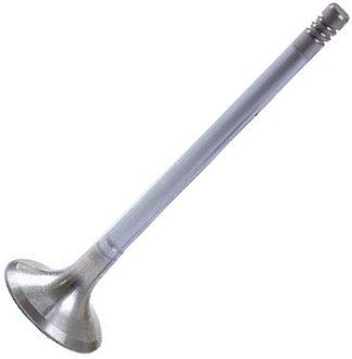 Exhaust Valve