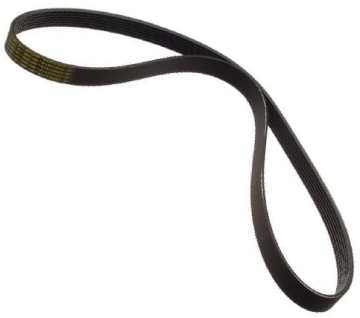 Serpentine Belt