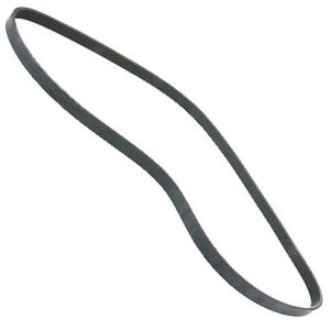 Serpentine Belt