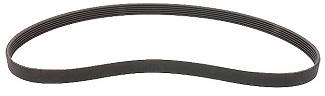 Alternator Drive Belt