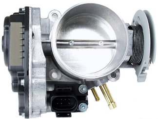 Throttle Body Assembly