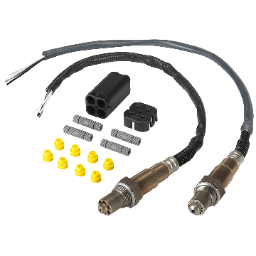 Oxygen Sensor