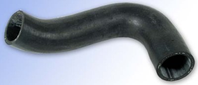 Lower Radiator Hose