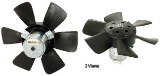 Radiator Fan Motor