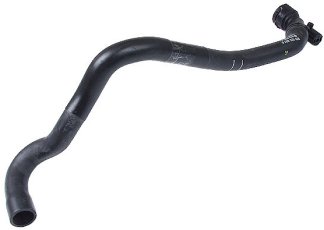 Lower Radiator Hose