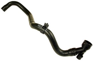 Lower Radiator Hose