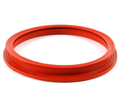 Fuel Pump Tank Seal