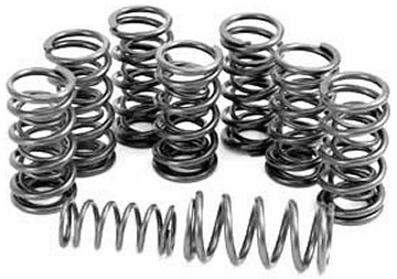 Scat Dual Valve Springs