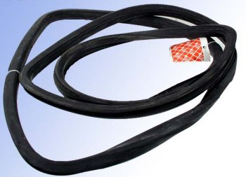 Windshield Seal