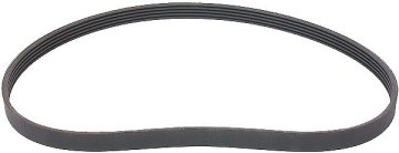 Serpentine Belt