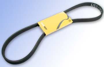 Serpentine Belt