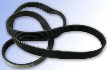 Serpentine Belt