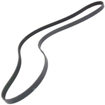 Serpentine Belt