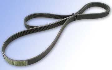 Alternator Drive Belt