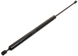 Rear Hatch Strut