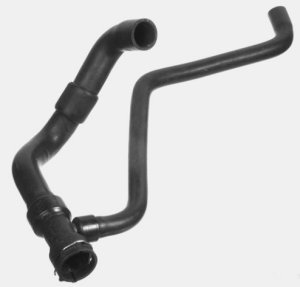 Lower Radiator Hose