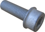 Caliper Bracket Bolt