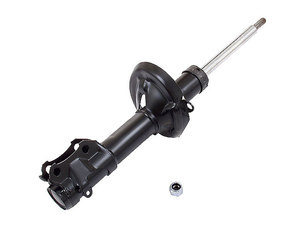 Front Complete Strut